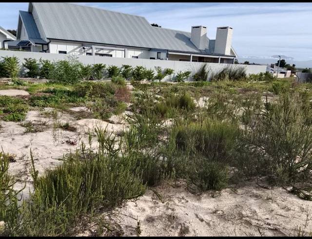 LAND FOR SALE IN ALBERTINIA